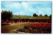 c1950's Alana Motel Roadside Clearfield Utah UT Unposted Vintage Postcard picture