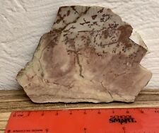 Petrified Wood Agate Slab From My Grandpa’s Collection 1960’s-70’s picture