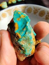 AAA Grade Turquoise Mountain Beautiful 38.3 Gram Pair Nuggets from Kingman AZ picture