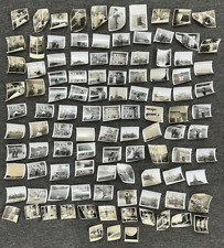 Huge Lot of 103 Vintage 1930s-50s Real Photos Photographs ~ Black & White picture