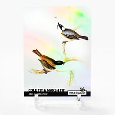 COLE TIT & MARSH TIT 1837 Illustration Card 2023 GleeBeeCo Holographic #CL18 picture