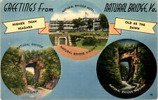 Natural Bridge, Virginia, Niagara Falls, geological formation, Seven Postcard picture