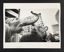 1989 Shrine Circus Elephant Parade St Paul Minneapolis Downtown VTG Press Photo picture