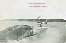 Onekama MI A 1914 Big Fish Greetings from Onekama picture