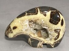 Carved Utah ZUNI BEAR FETISH SEPTARIAN GEODE hollow interior Crystals picture