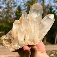 1.91LB Natural white crystal Himalayan quartz cluster/mineral picture
