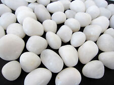 1x White Pearl Agate Tumbled Stones 20-25mm Healing Crystal Opens Crown Chakra picture