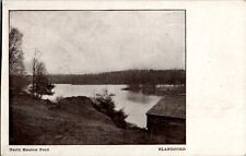 North Meadow Pond, Blandford, Massachusetts MA Postcard picture
