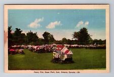 Galt Ontario Canada, Peony Plot, Soper Park, Antique Vintage Souvenir Postcard picture