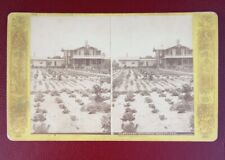 Antique Stereoview 1875 Alexander Mitchel's Estate. Florida picture