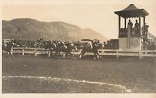 Vintage 1910s RPPC Horse Racing Track Jockey Real Photo Postcard NECK & NECK picture