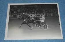 1991 Harness Racing Photo Horse MB Felty John 