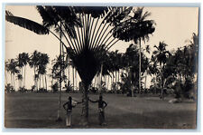 Myanmar Postcard Two Boys Standing Near Big Coconut Tree c1930's RPPC Photo picture