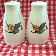 Discontinued Vintage Woodhill By Citation Salt and Pepper Shaker Set China Made picture
