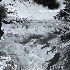 Antique 1920s Grand Canyon Arizona Vista View Stereoview Photo Card V1914 picture