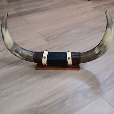 Vintage Bull Horns Mounted Wall / Desk Steer Leather 22X13
