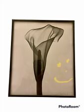 Albert G Richards photograph 8x10 X-ray Flowers Ann Arbor Radiograph picture