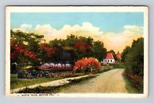 Dover DE-Delaware, Scene Along Road, Antique Souvenir, Vintage Postcard picture