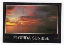 Florida Sunrise Greetings from Florida Typical FL Sunrise Postcard Unposted picture