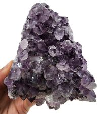 Amethyst Crystal Natural Freestand Uruguay 1lb 2.4oz. picture