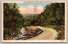 Molley Stark Trail Bennington Vermont Country Road Forest Linen Vintage Postcard picture