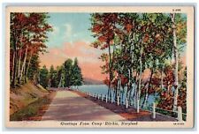 1946 Greetings Camp Ritchie Road Sea Cascade Maryland Vintage Antique Postcard picture