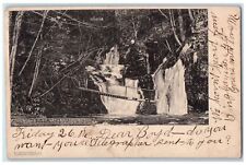 1906 Bush's Glen Between Cochecton And Callicoon Depot New York NY Postcard picture