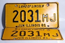 Vintage 1981 Illinois Truck License Plates Garage Man Cave Collector Wall Decor picture