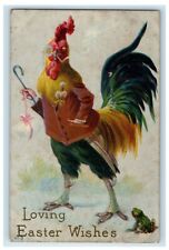 c1910's Anthropomorphic Rooster Spectacle Frog Embossed Posted Easter Postcard picture