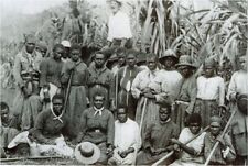 African American Slaves on a Sugar CanePlantations  1860s  vintage 8 x 10  photo picture