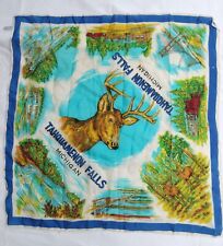 Tahquamenon Falls MI State Park SCARF Deer Camp 33 Toonerville Trolley 28 in picture
