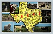 TX-Texas, Map Of State Vintage Souvenir Postcard picture