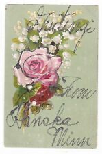 c1910 HANSKA MINNESOTA GLITTER GREETING FLOWERS VINTAGE POSTCARD MN EDNA BRISTOL picture