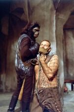 Planet of the Apes Charlton Heston fights with ape in court room 24x36 Poster picture