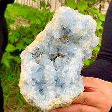 4LB Natural Blue Celestite Geode QuartzCrystal  Mineral Specimen Healing picture