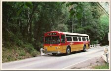 c1960s BIG SUR California Bus Postcard MONTEREY-SALINAS TRANSIT Schedule on Back picture