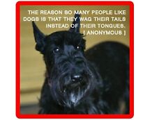 Funny Scottish Terrier Dog Wag Tails Refrigerator / Tool Box Magnet picture