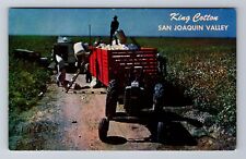 San Joaquin Valley CA-California, Picking Cotton, Antique, Vintage Postcard picture
