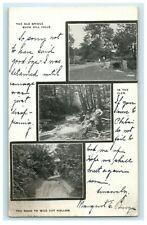 1908 Old Bridge Wild Cat Hollow Buck Hill Falls Pennsylvania PA Postcard picture