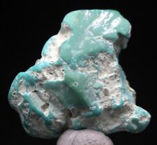 TURQUOISE Specimen Natural Authentic Gemstone Nugget LONE MOUNTAIN MINE NEVADA picture
