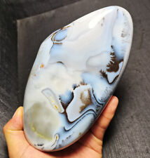 TOP 1335 G  Natural Polished Aquatic Plants Agate Crystal Madagascar EE160 picture