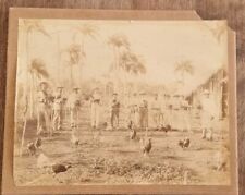 CUBAN SPAN AM WAR MAMBISES FIGHT COCKS SUPER RARE PORTRAIT 1880s ORIG PHOTO 60 picture