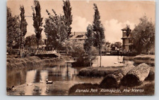 POSTCARD ALAMEDA PARK ALAMOGORDO NEW MEXICO - 1908 picture