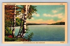 Lake Winnipesaukee NH-New Hampshire, Scenic Greetings Souvenir Vintage Postcard picture
