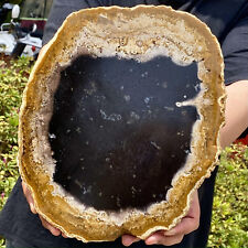 5.24LB Beautiful Gem Coloration Petrified Wood Slab Slice Rare Madagascar picture
