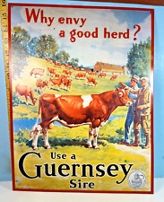 1990 Why Envy A Good Herd? Use A Guernsey Sire Golden Guernsey American Revival picture