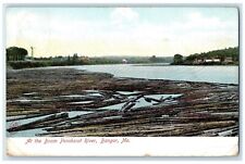 1909 Scenic View Boom Penobscot River Bangor Maine ME Vintage Antique Postcard picture