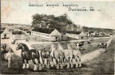  Advertising Postcard Truman's Pioneer Stud Farm Bushnell IL Illinois 1912 H-130 picture