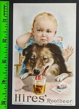 Antique 1890s Hires Cough Cure Rootbeer Baby Dog Trade Card picture