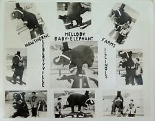 RARE c1940s Hawthorne Mellody Farms Baby Elephant Circus Promotional Card picture